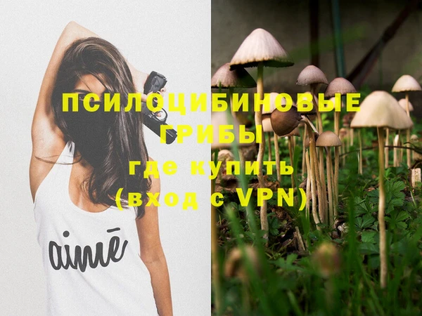 ALPHA PVP Остров