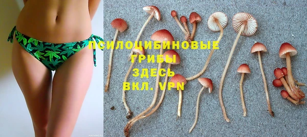 спайс Осинники
