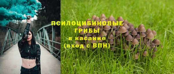 спайс Осинники